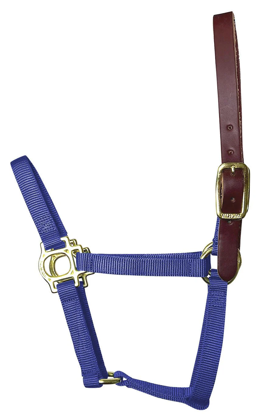 Valhoma Premium Breakaway Nylon Halter with Leather Crown - Healthber