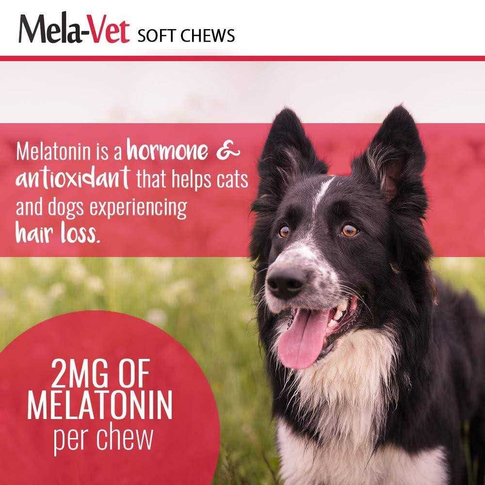 Mela-Vet Melatonin Soft Chews for Dogs & Cats - Healthber