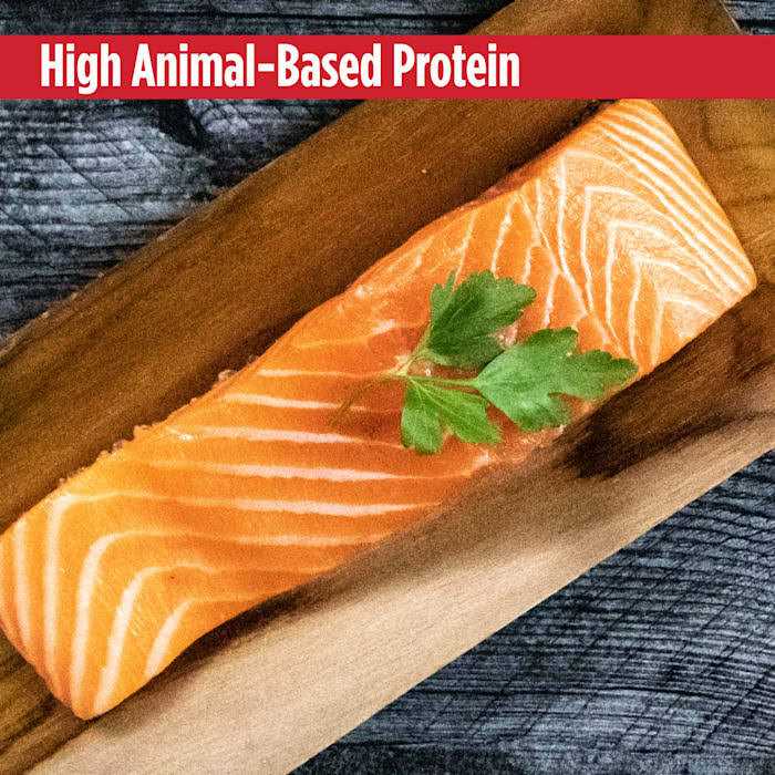 Nulo MedalSeries Grain Free Limited Ingredient Puppy & Adult Salmon Dog Food - Healthber