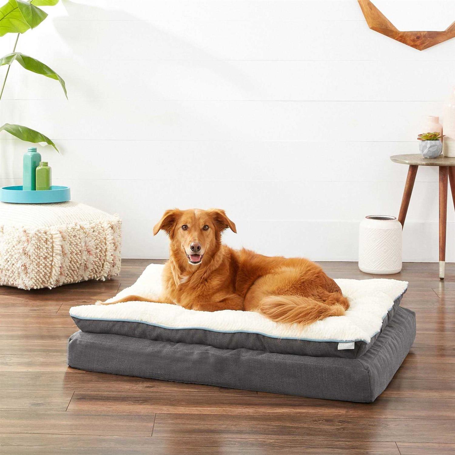 Frisco Plush Orthopedic Pillowtop Dog Bed w/Removable COVER - Healthber