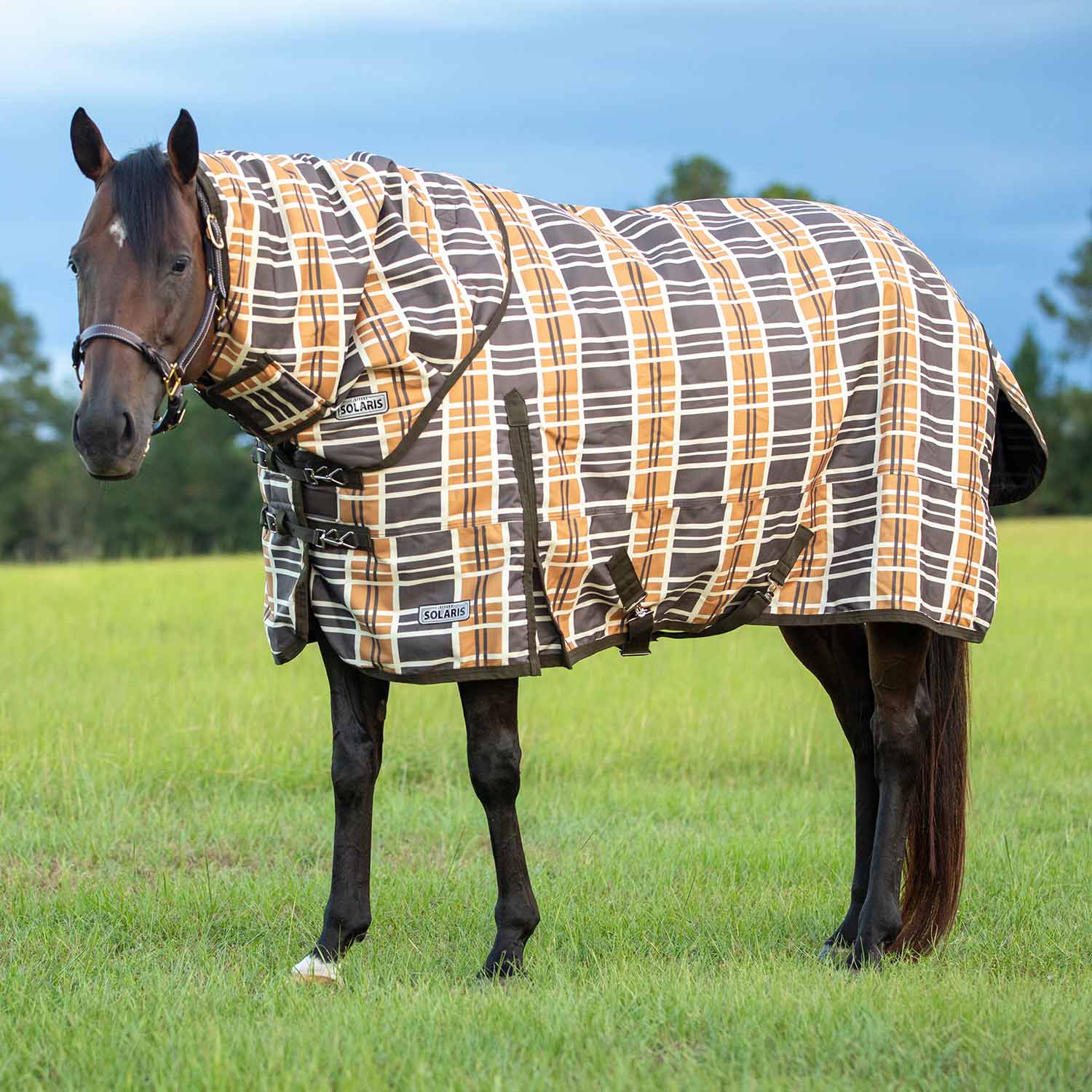 Solaris 1200 Denier Heavyweight Horse Turnout Blanket with Neck Rug. 360g Fill, Brown & Cream Plaid - Healthber