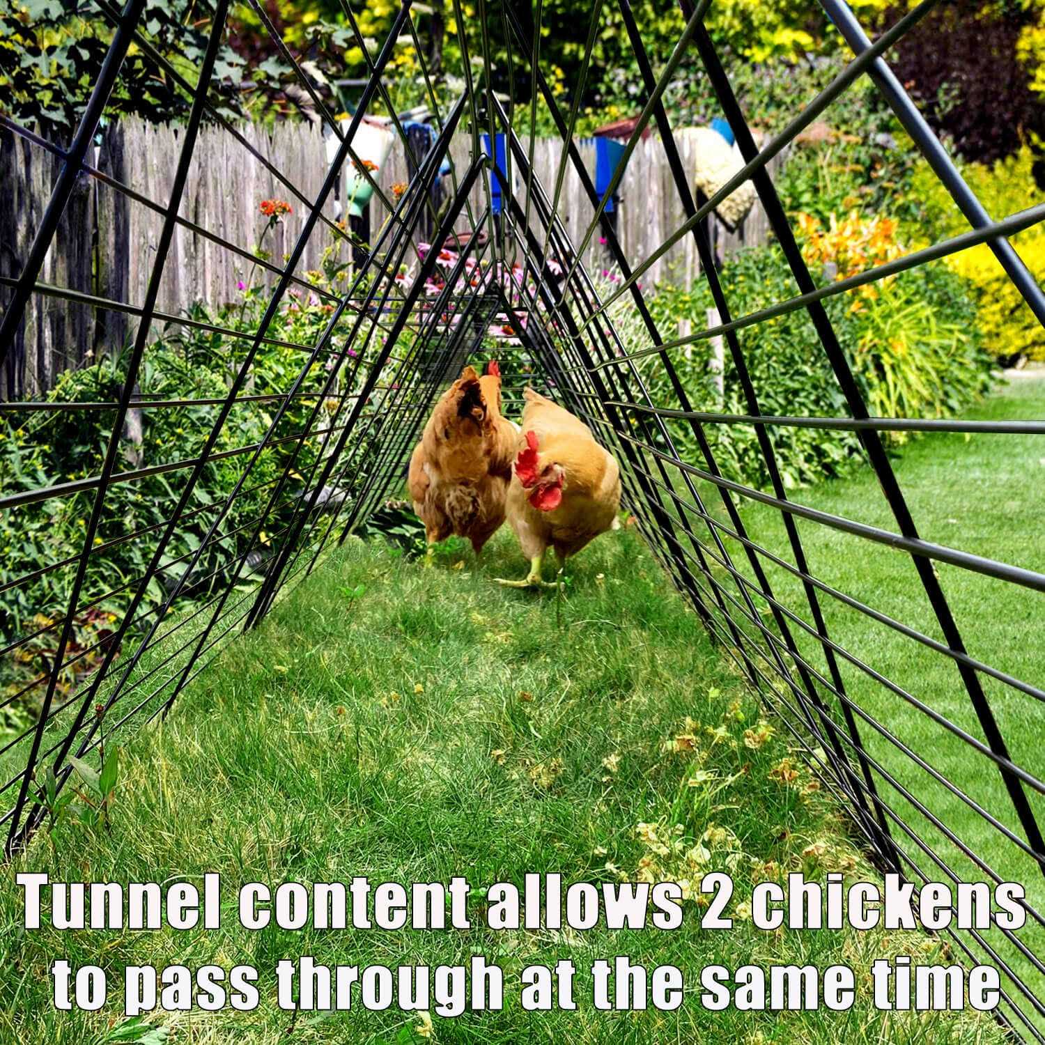 Chicken Tunnels for Yard Chicken Tunnels for Outside Chicken Run Coop Tunnel - Healthber