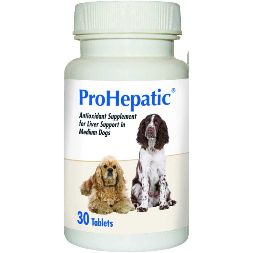 Prohepatic Liver Support Chewable Tablets Dogs - Healthber