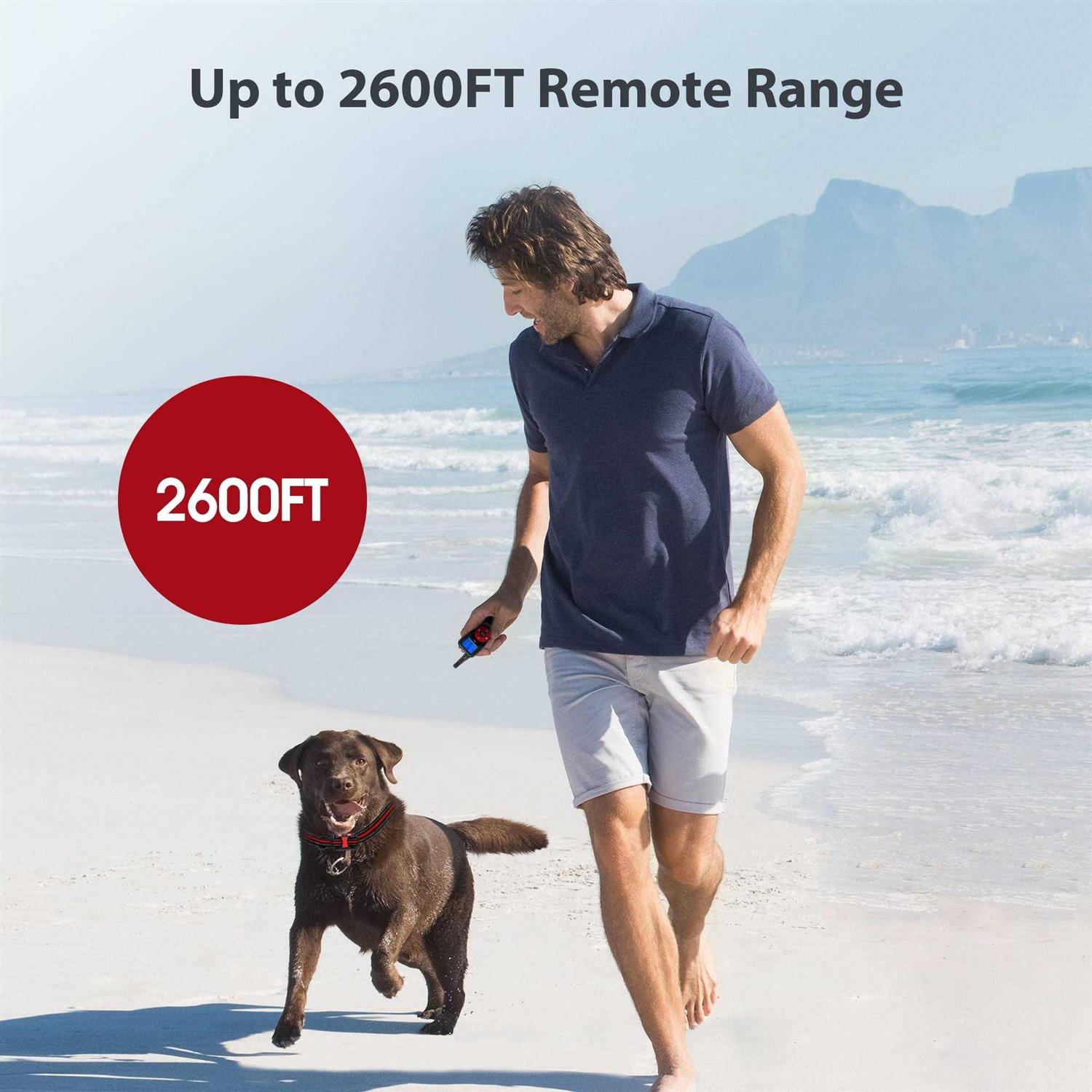 Petdiary Remote Training Shock Dog Collar - Healthber