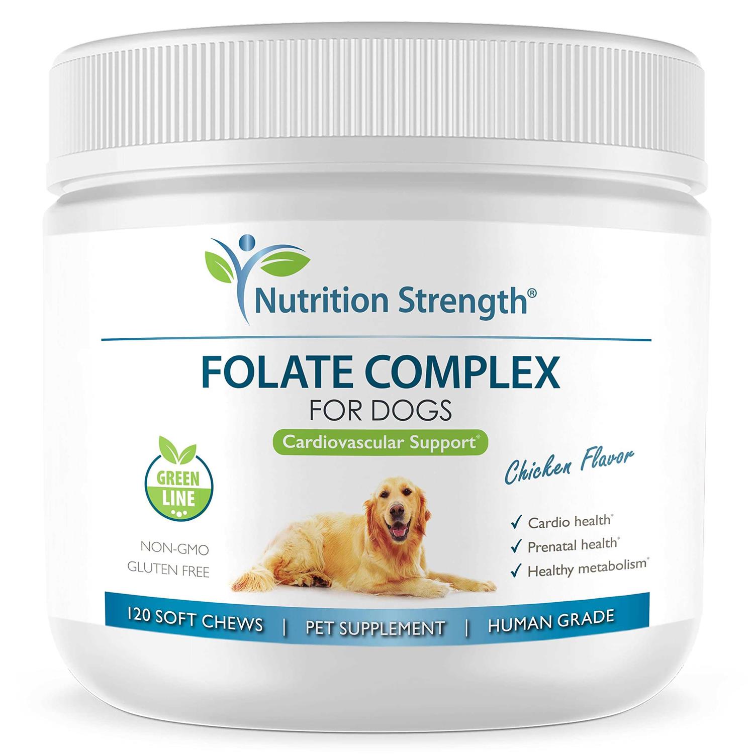 Nutrition Strength Folate for Dogs to Promote Cardiovascular & Prenatal Health - Healthber