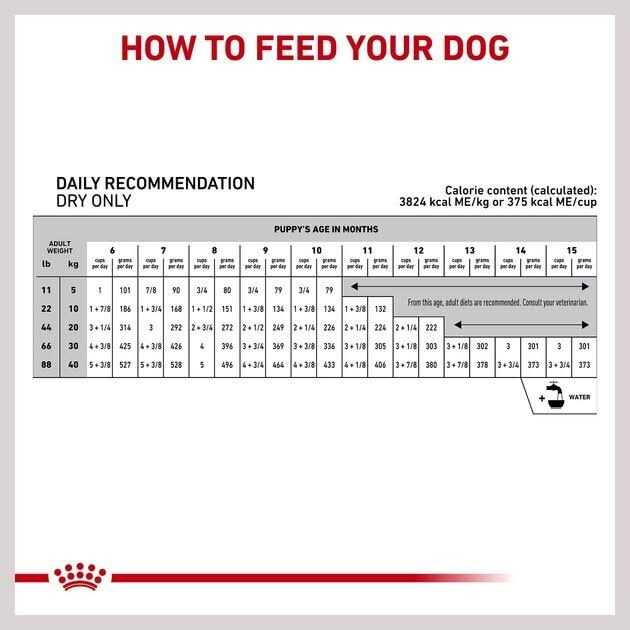 Royal Canin Hydrolyzed Protein Puppy Dry Dog Food Bag - Healthber