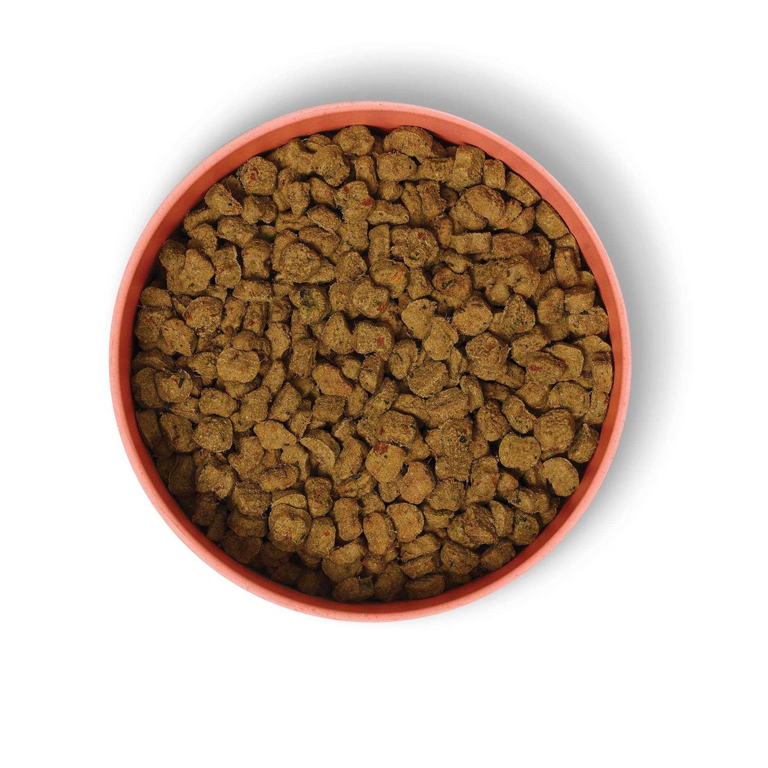 Ollie Baked Beef Dish with Sweet Potatoes Dry Dog Food - Healthber