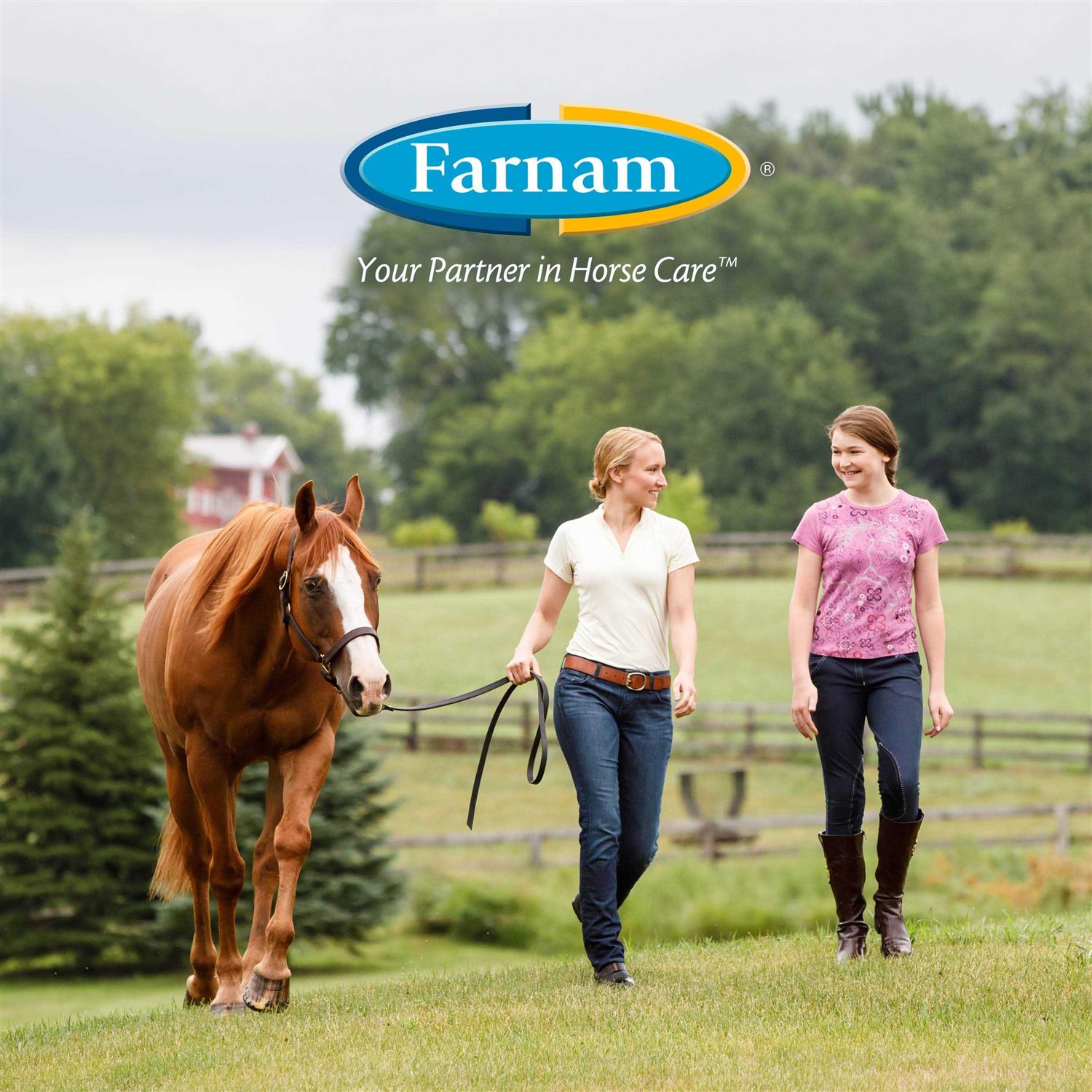 Farnam Vetrolin White N Brite Shampoo - Healthber