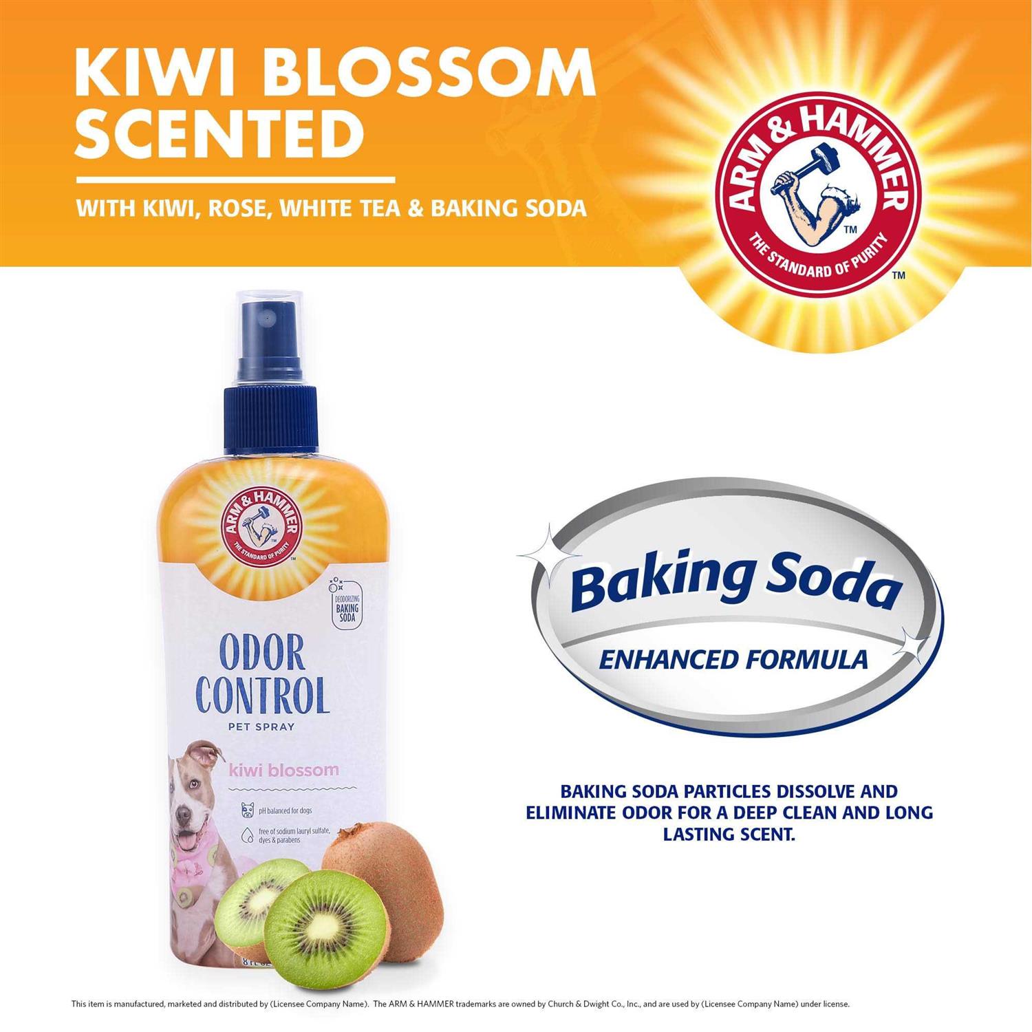 Arm & Hammer Super Deodorizing Spray for Pets - Healthber