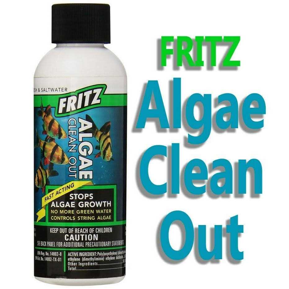 Fritz Algae Clean Out - Healthber