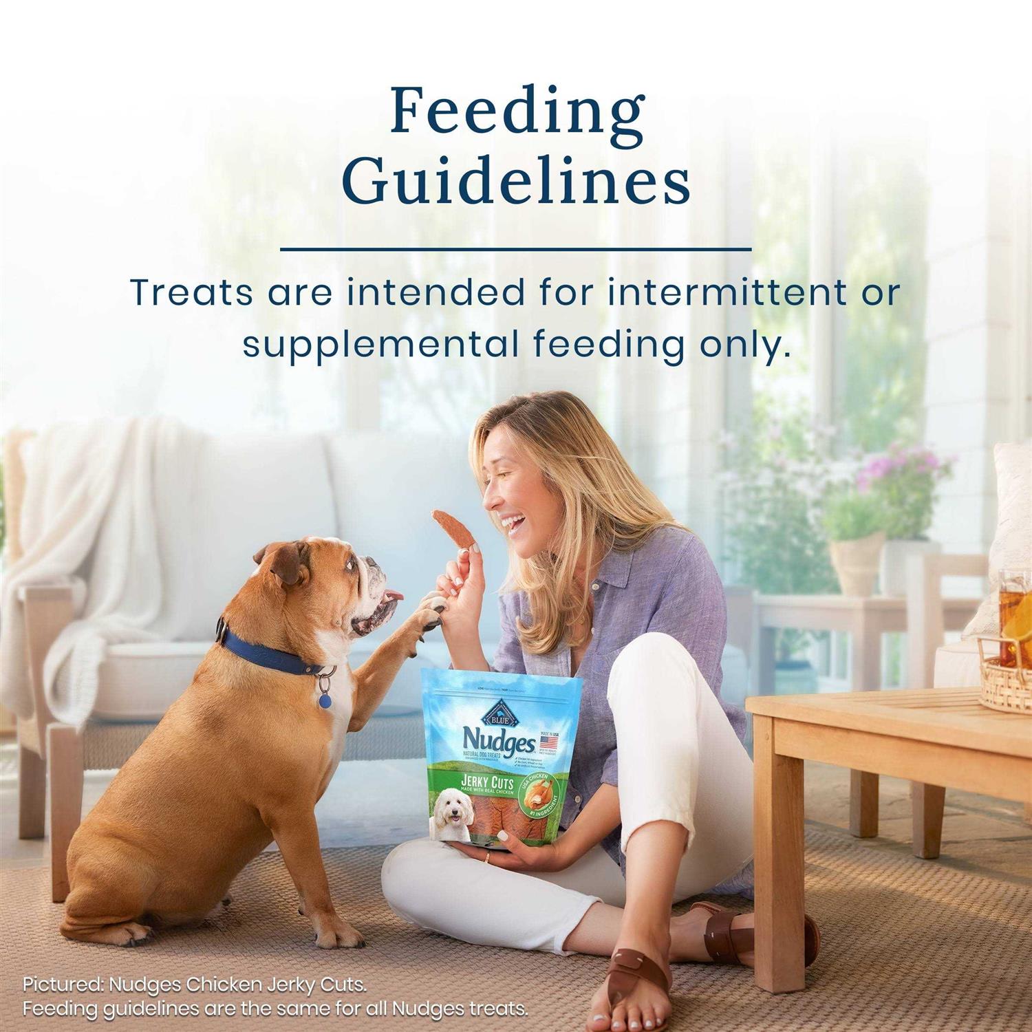 Blue Buffalo Nudges Homestyle Chicken Natural Dog Treats - Healthber