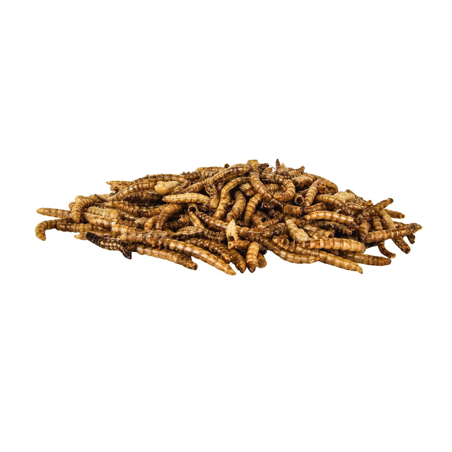 Pennington Mealworms Wild Bird Food - Healthber