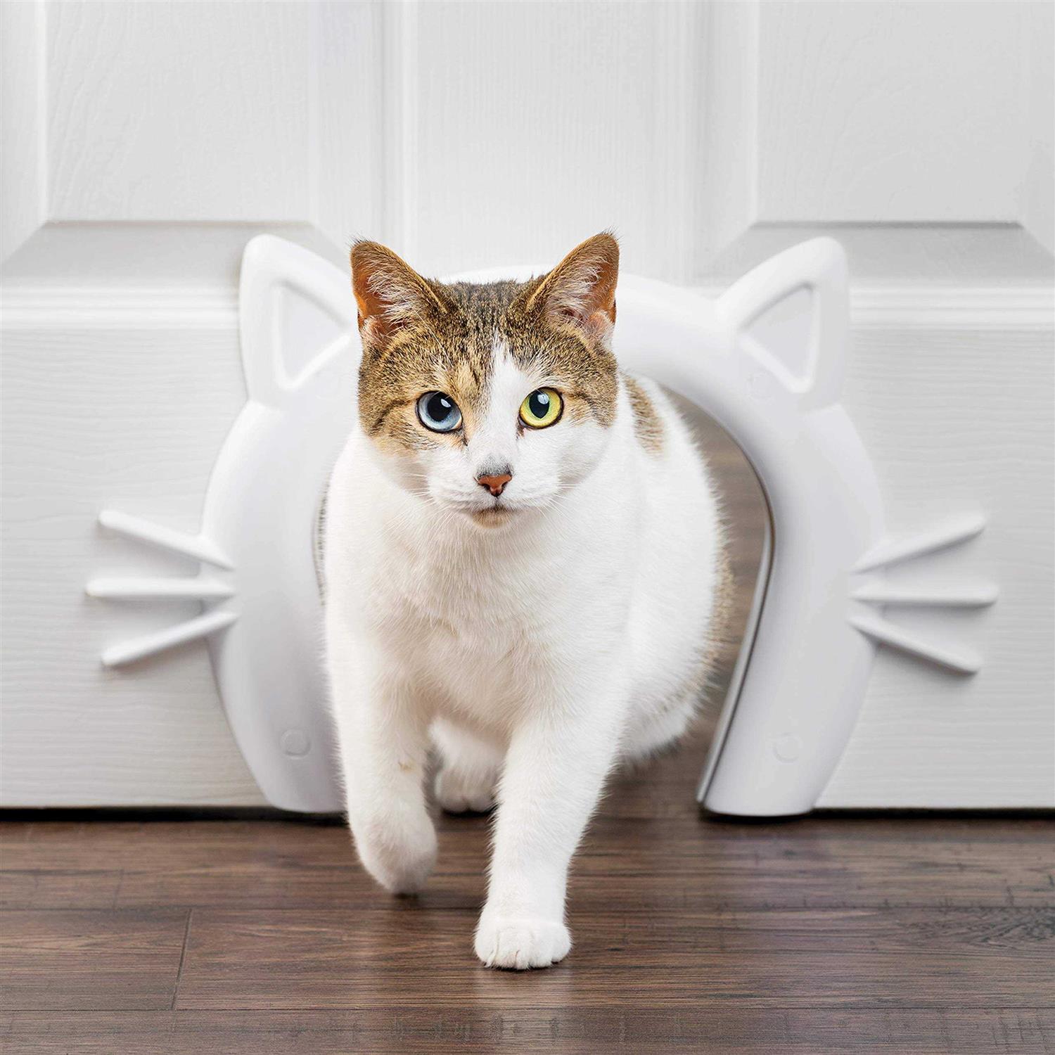 PetSafe Cat Door Cat Corridor for Interior Doors Adds Privacy, Keeps Dogs Out of Cats Space, Food, and Litter Box or Auto Feeder - Healthber