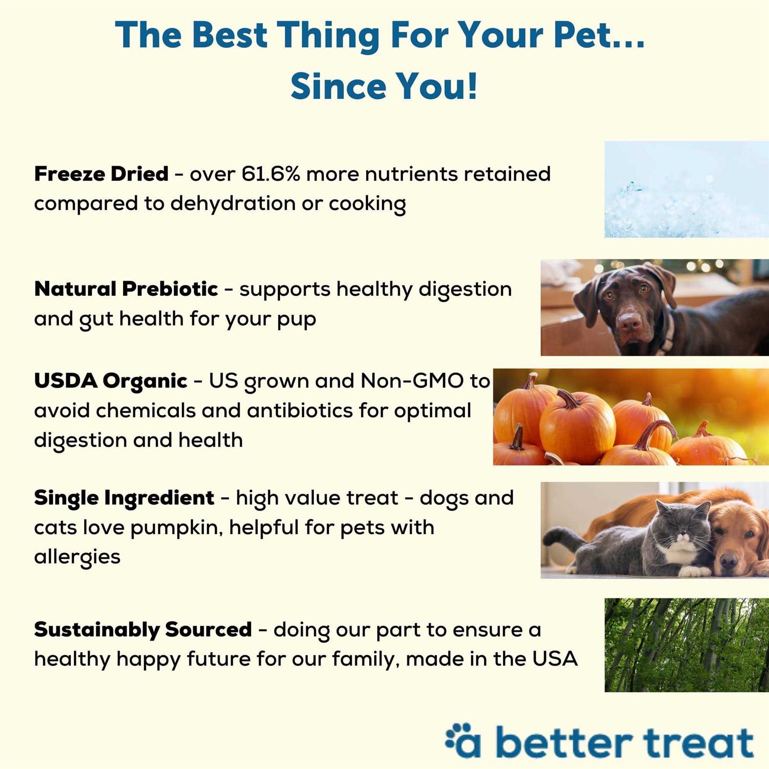 A Better Treat Pumpkin Organic Freeze-Dried Dog & Cat Treats - Healthber