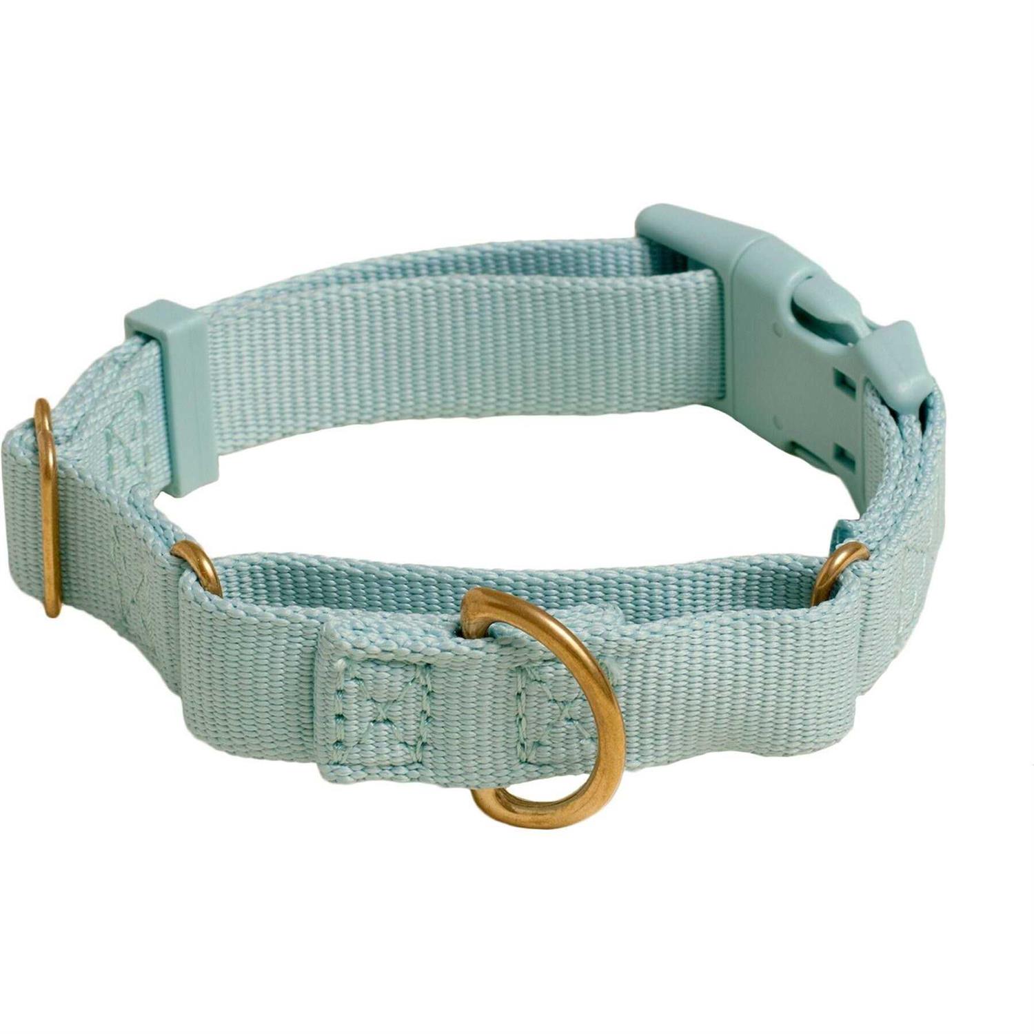 Awoo Marty Martingale Dog Collar - Healthber