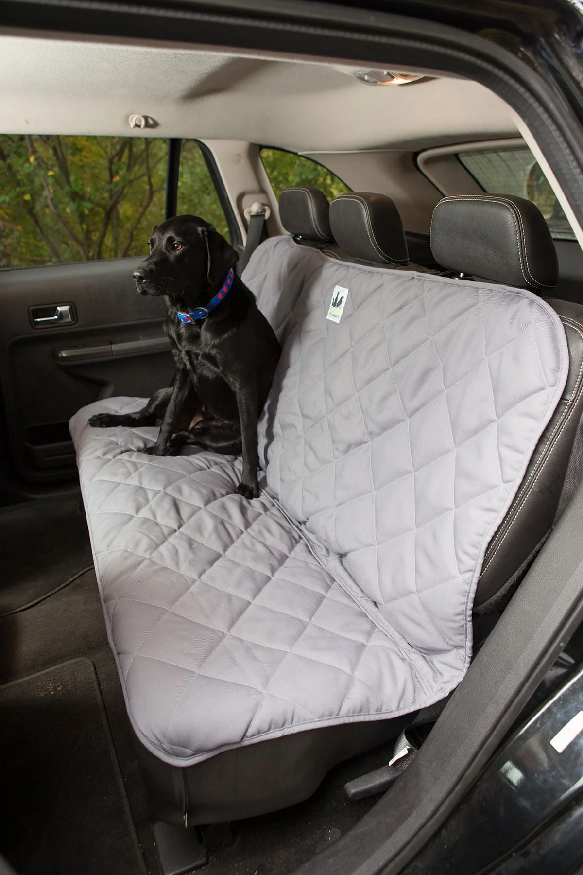 Back Seat Protector for Dogs, Large - Healthber