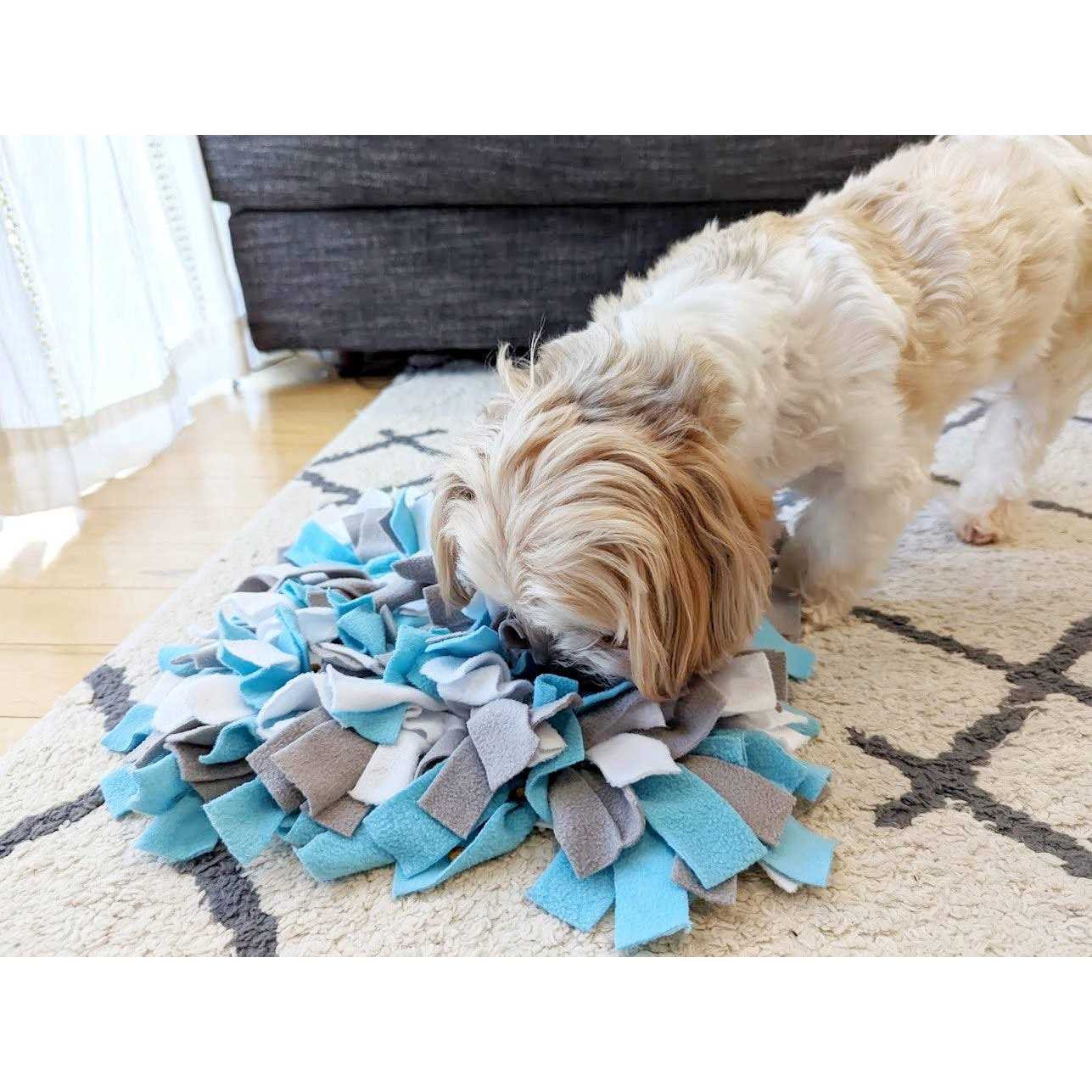 fouFIT Hide ‘n Seek Snuffle Mat Dog Toys - Healthber