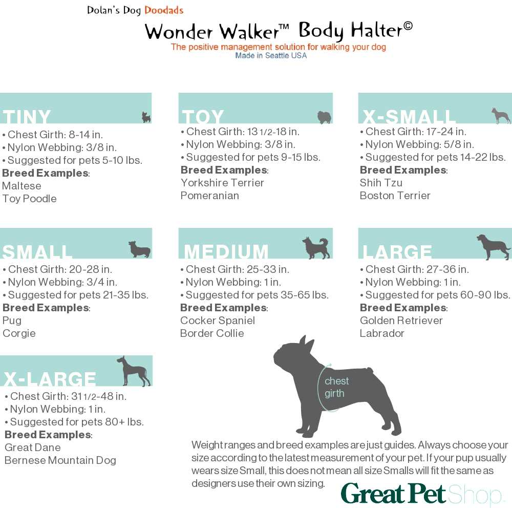 Wonder Walker Body Halter Dog Harness - Healthber