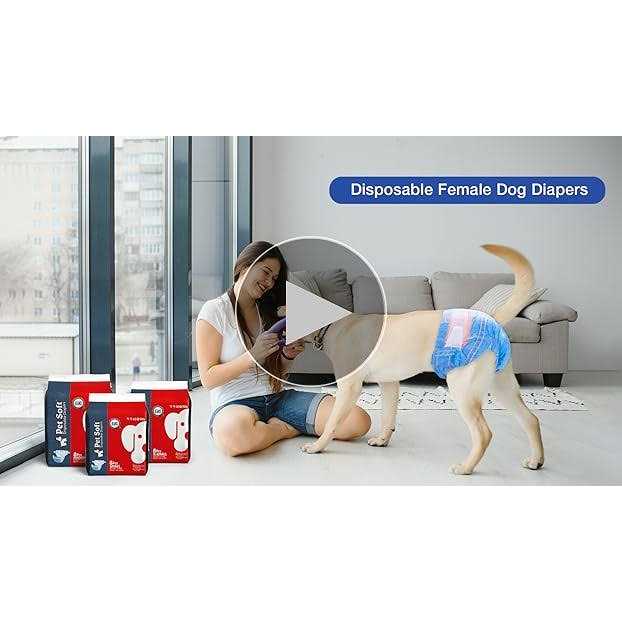 Pet Soft Dog Diapers Female Disposable Dog Diapers - Healthber