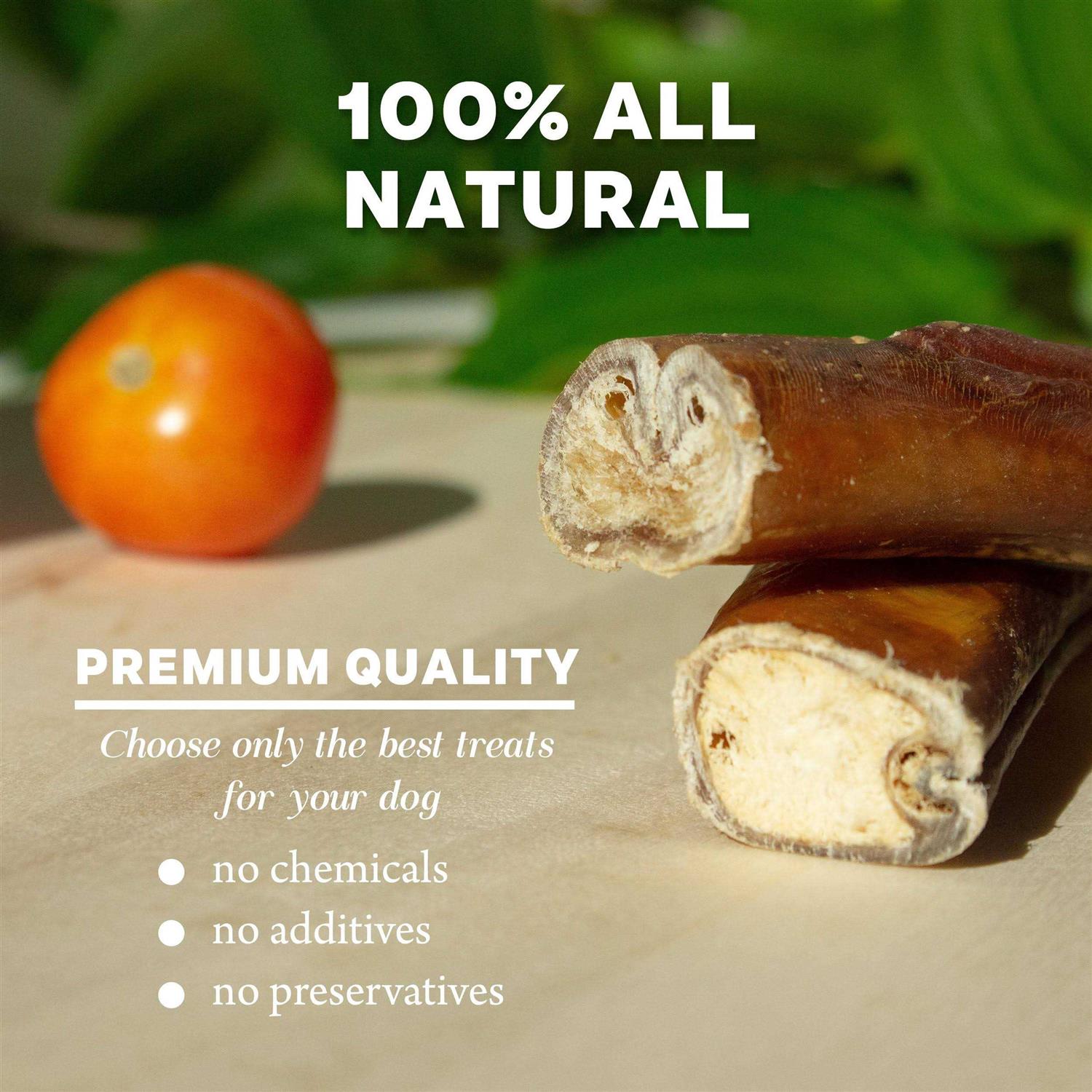 Downtown Pet Supply Bully Sticks For Dogs Thick Rawhide Free Dog Chews - Healthber