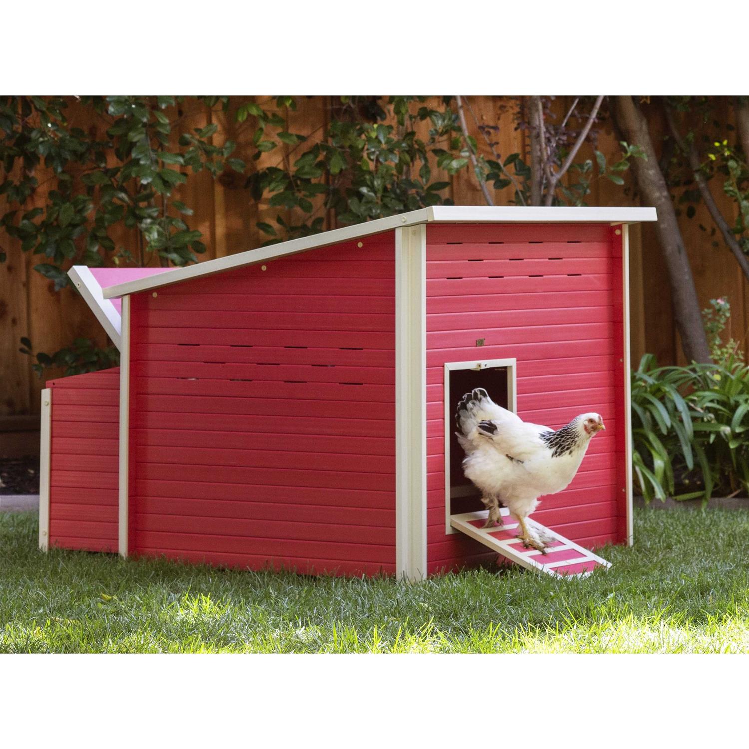 New Age Pet Ecoflex Jumbo Fontana Chicken Barn - Healthber