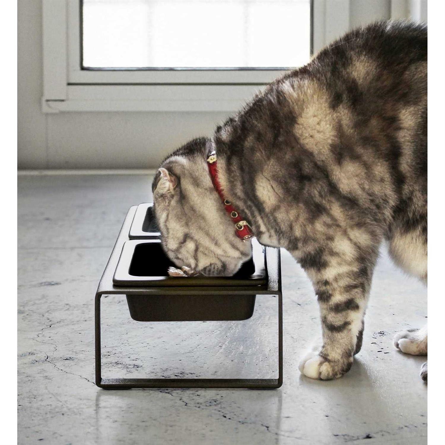 Yamazaki Home Pet Food Bowl - Healthber