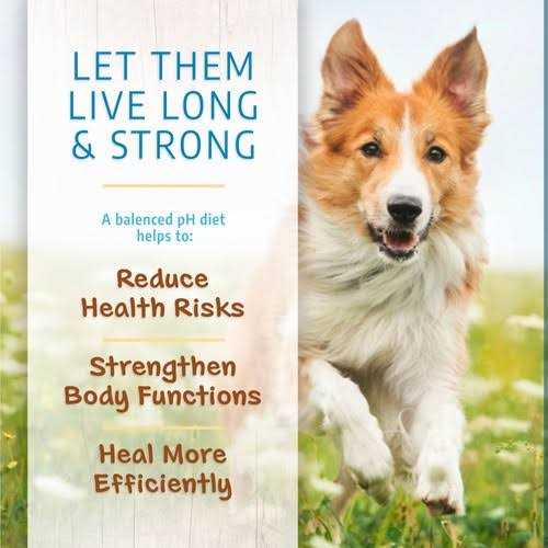 Canine Caviar Open Range Limited Ingredient Alkaline Entree All Life Stages Dry Dog Food - Healthber