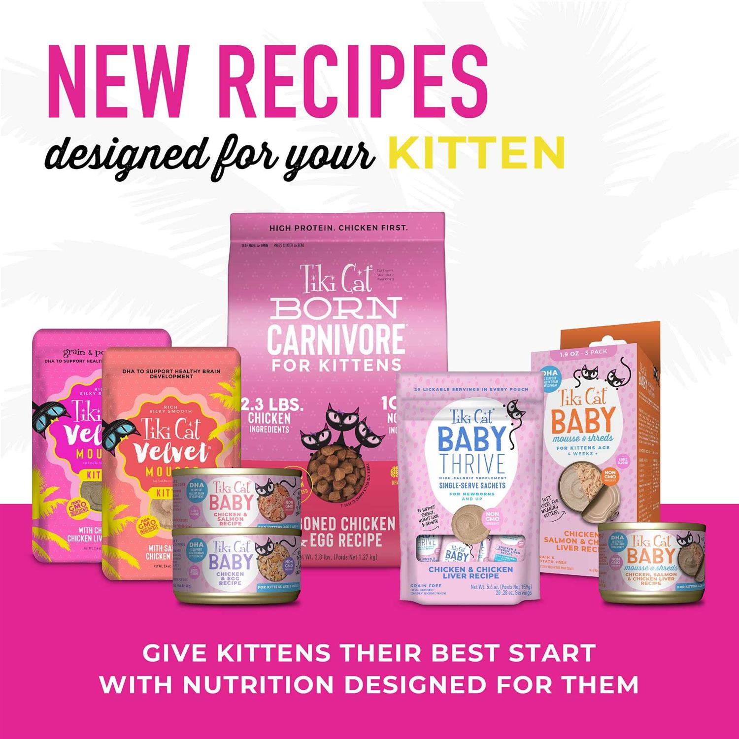 Tiki Cat Baby Chicken & Egg - Healthber