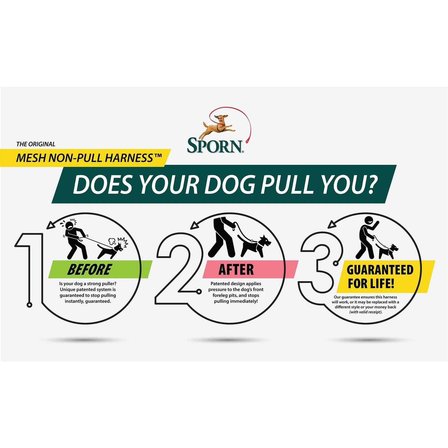 Sporn Mesh Non Pull Dog Harness - Healthber