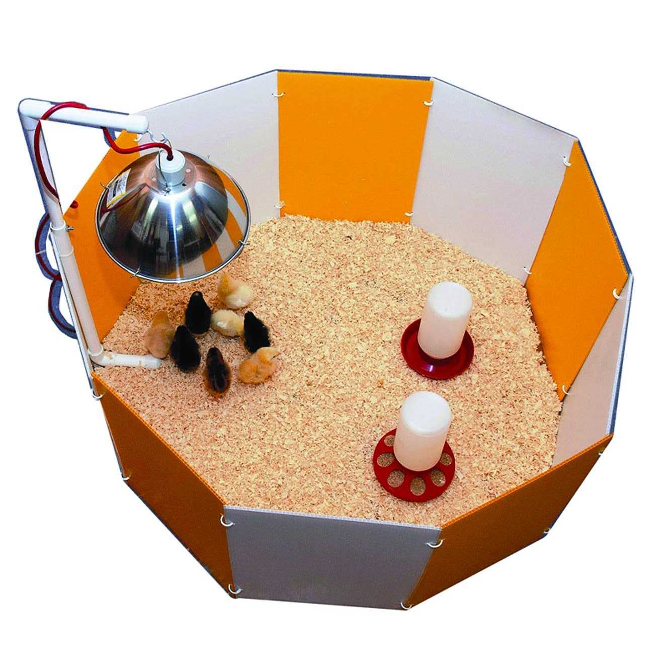 Farm Innovators Baby Chick Starter Home - Healthber