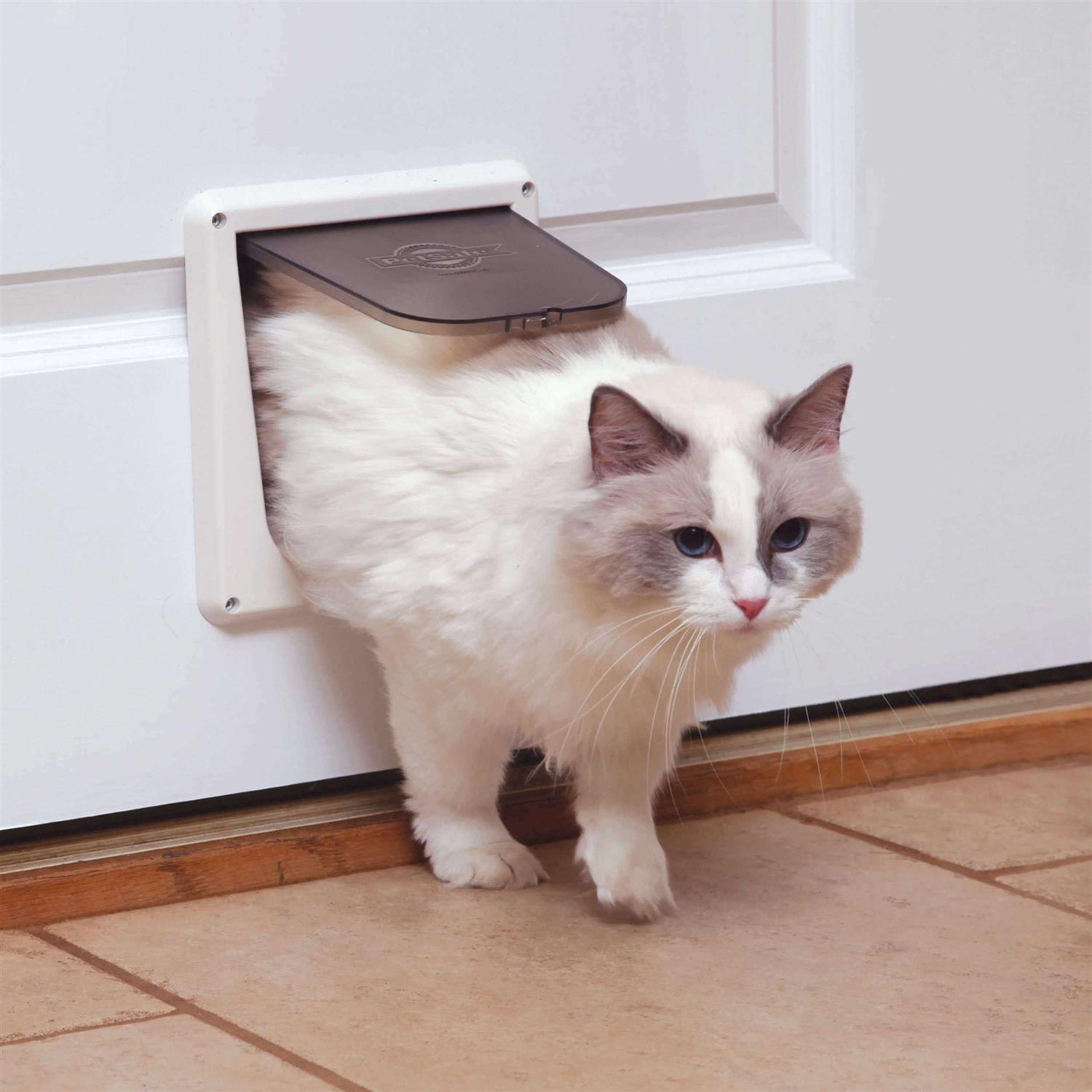 PetSafe 4-Way Locking Cat Door - Healthber
