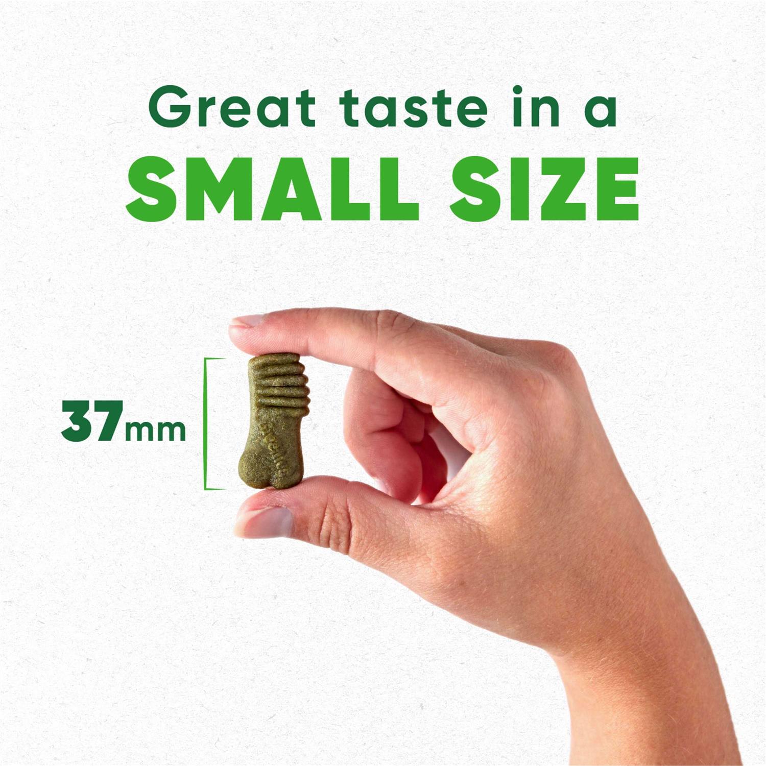 Greenies Anytime Bites Dog Treats - Healthber