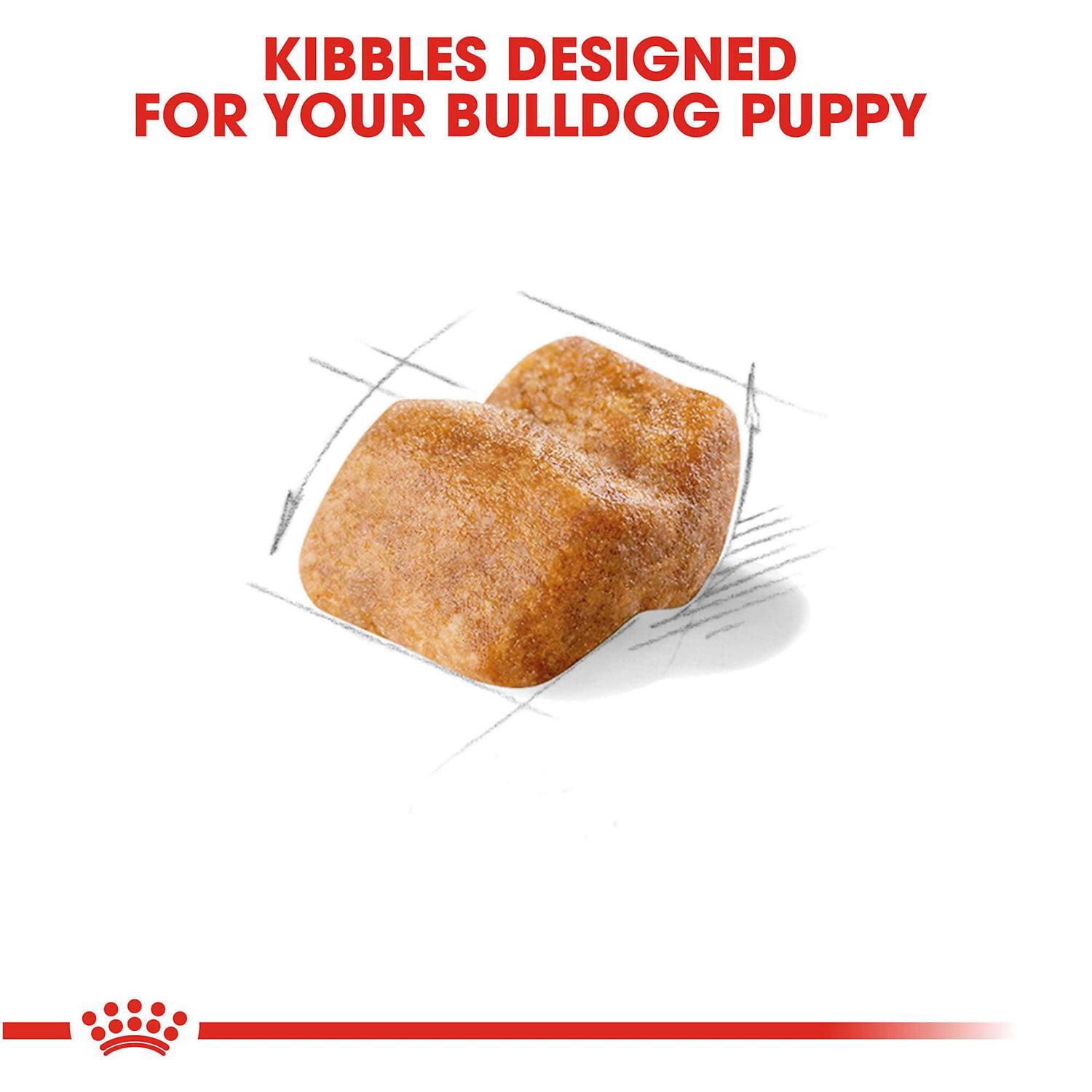 Royal Canin Bulldog Puppy Dry Dog Food - Healthber