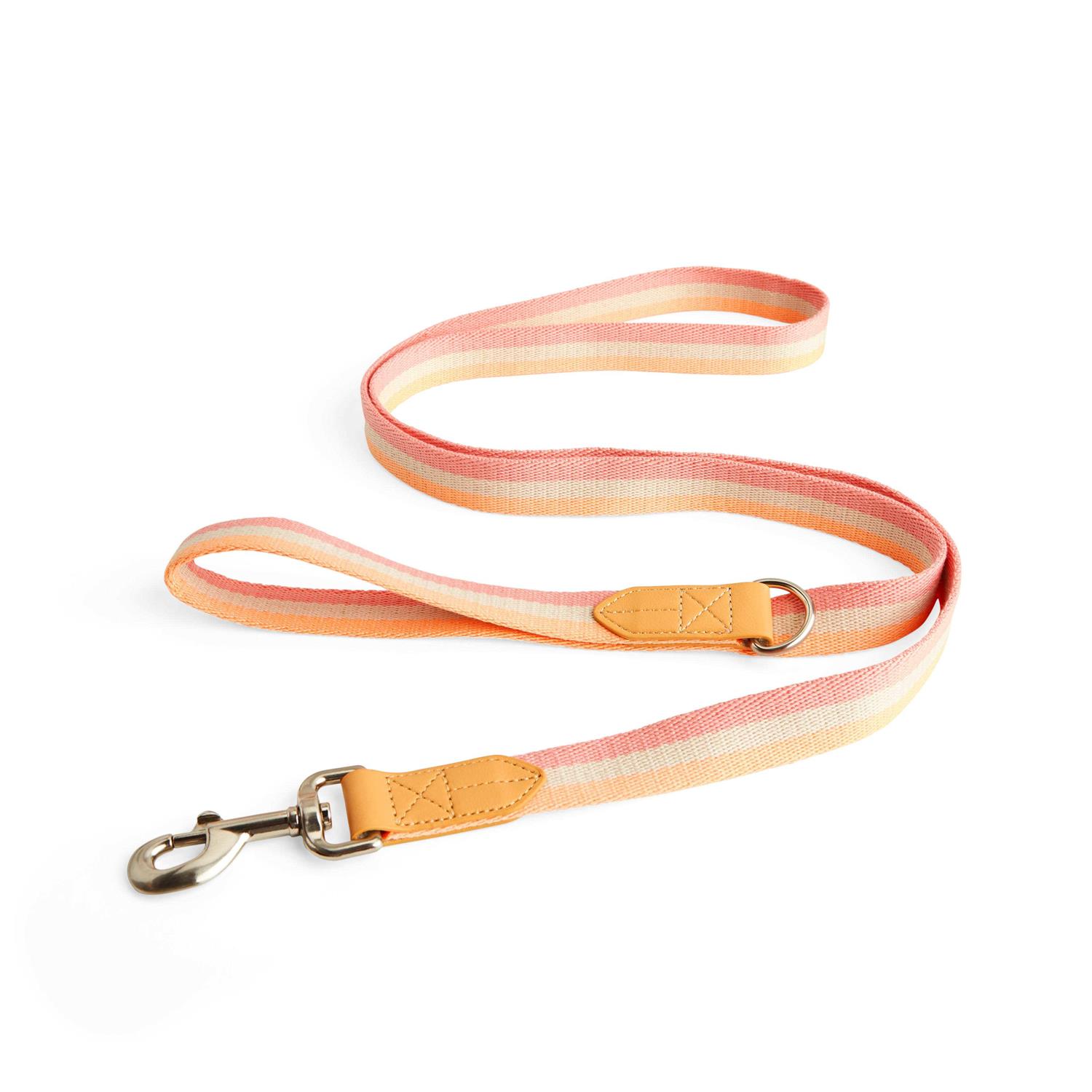 YOULY Creamsicle Dog Leash - Healthber