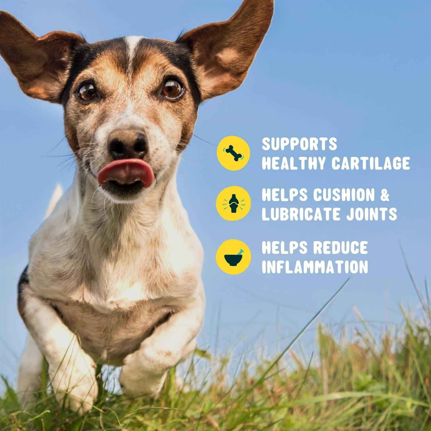 Active Chews Glucosamine for Dogs Hip and Joint Supplement with Chondroitin, Turmeric, and Msm - Healthber