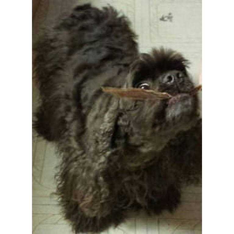HDP Duck Jerky Strips - Healthber