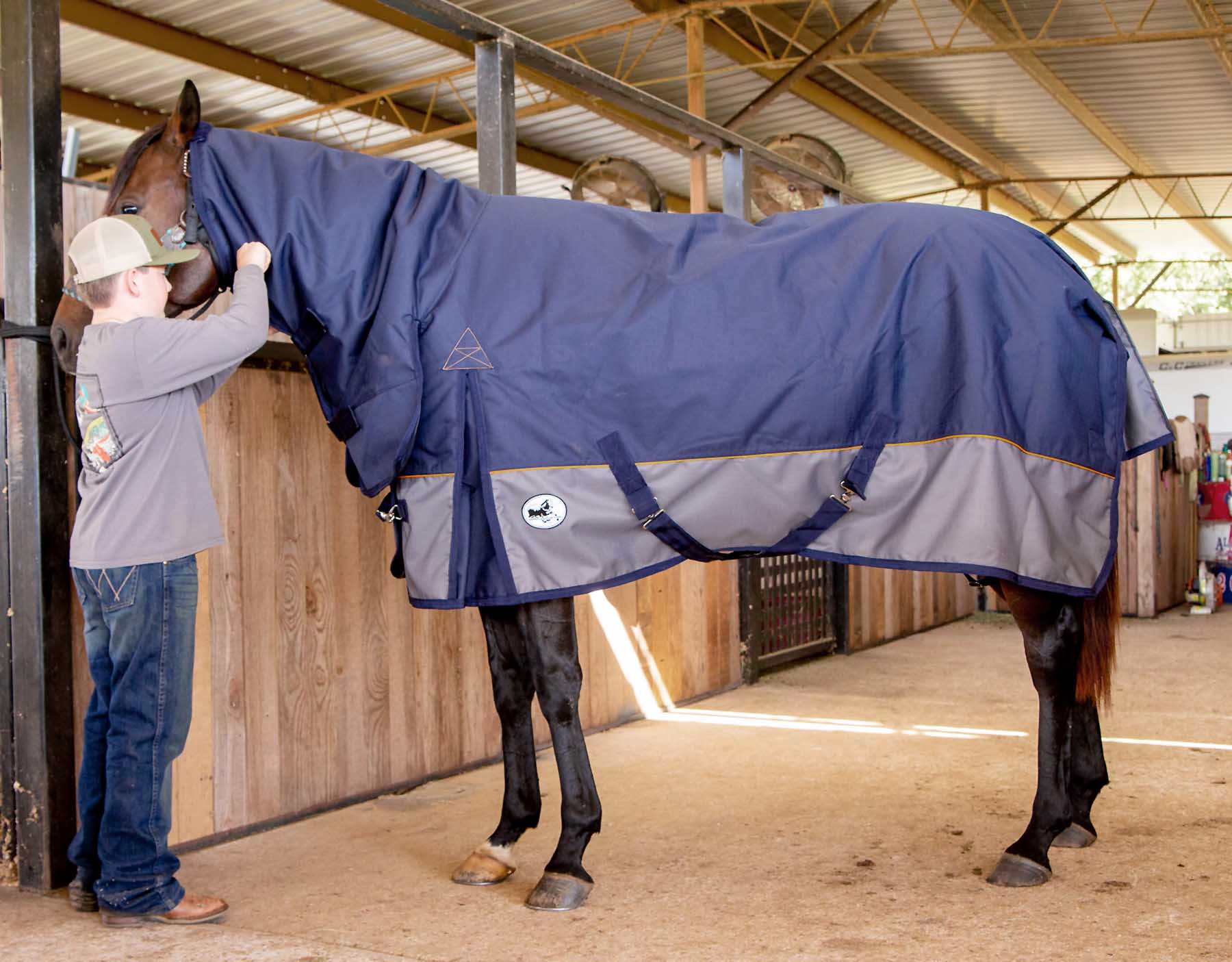 Economy Plus Combo Neck Medium Weight Horse Turnout Blanket - Healthber