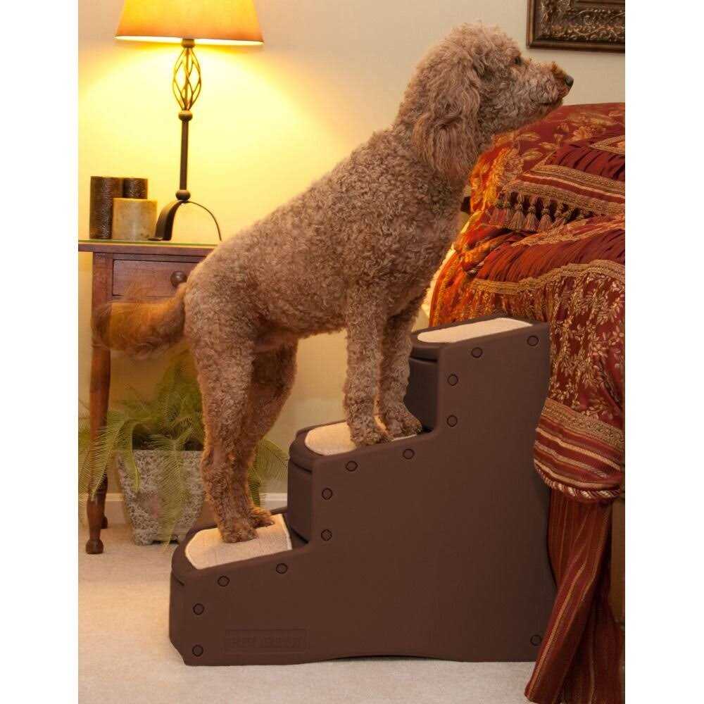 Pet Gear Easy Step III Pet - Healthber