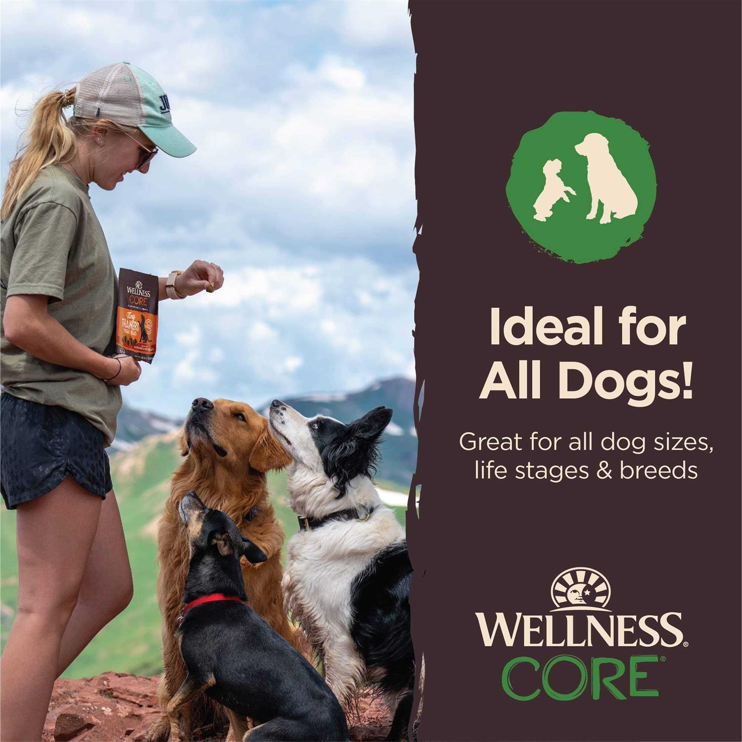 Wellness Core Tiny Trainers Tender Dog Treats - Healthber