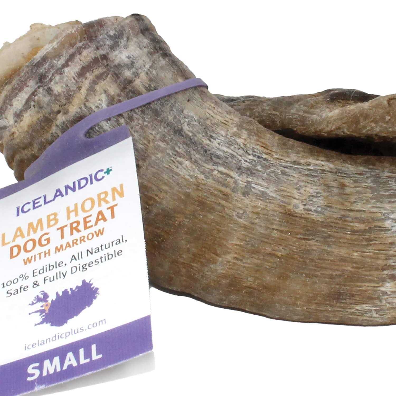 Icelandic+ Small Lamb Horn with Marrow Dog Chew - Healthber