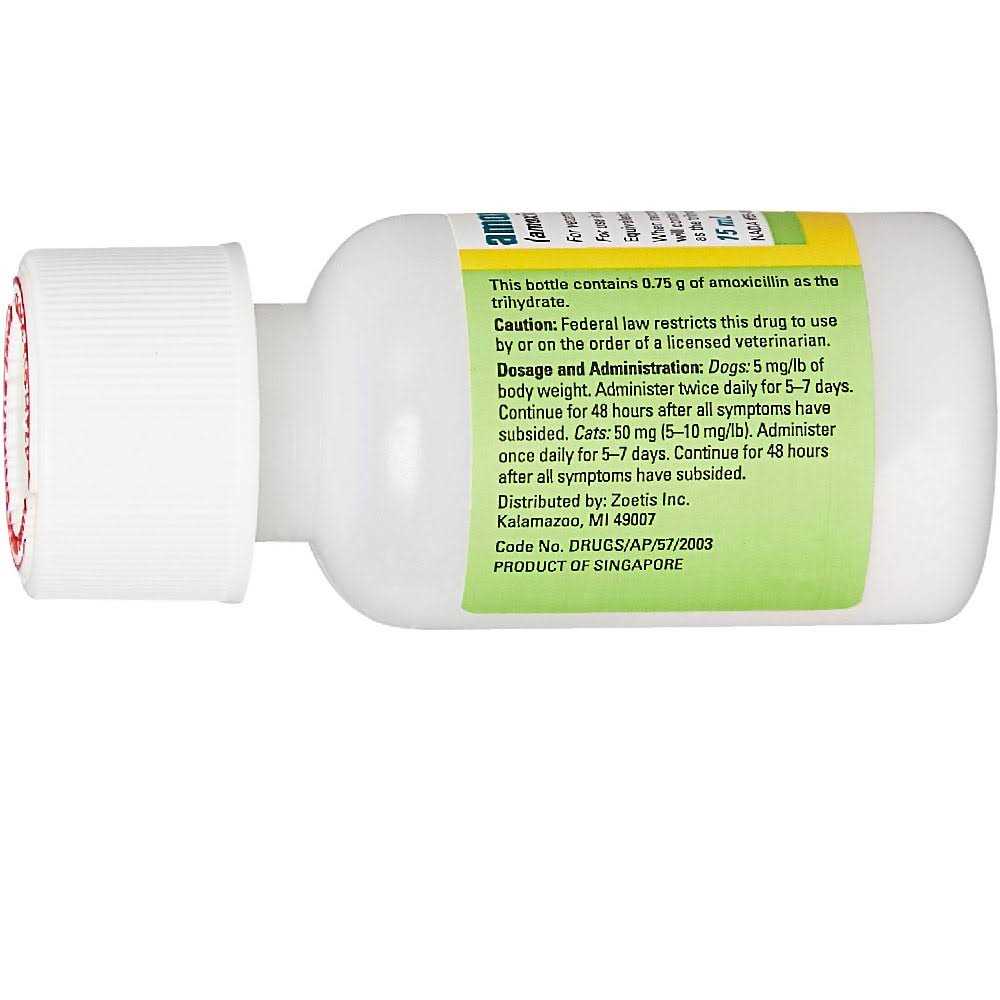 Amoxi Drop 15 ml - Healthber