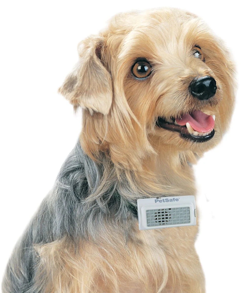 PetSafe Ultrasonic Bark Control Collar - Healthber