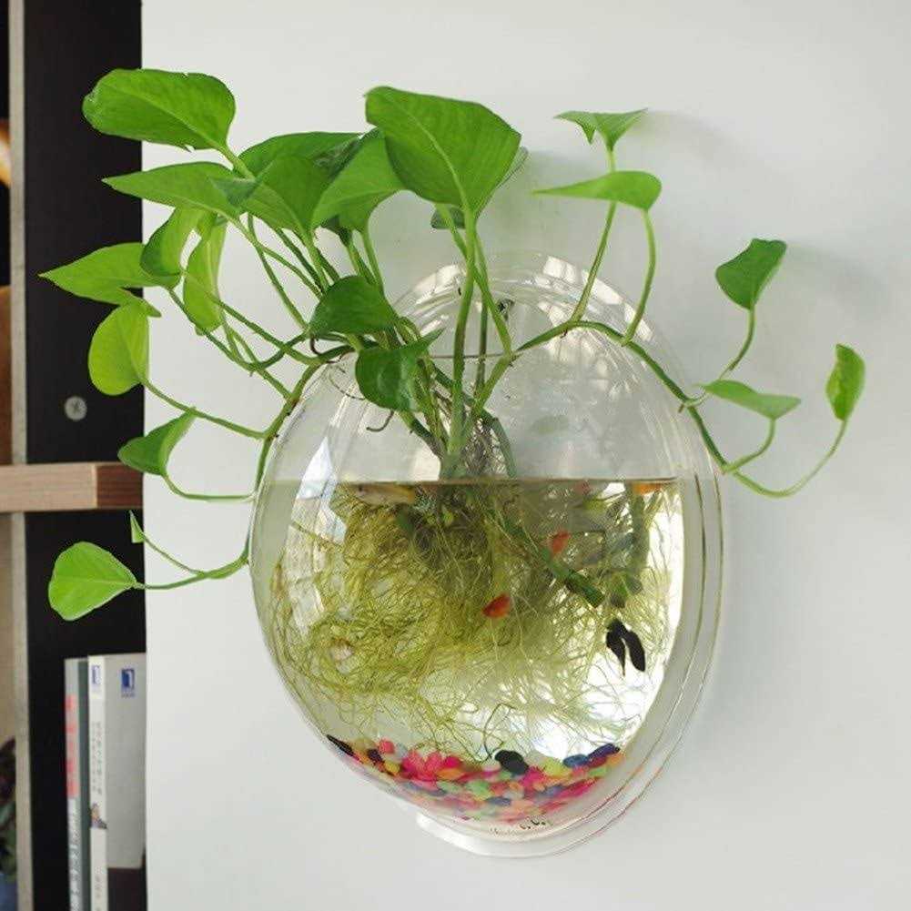 CNZ Wall Mounted Acrylic Fish Bowl - Healthber
