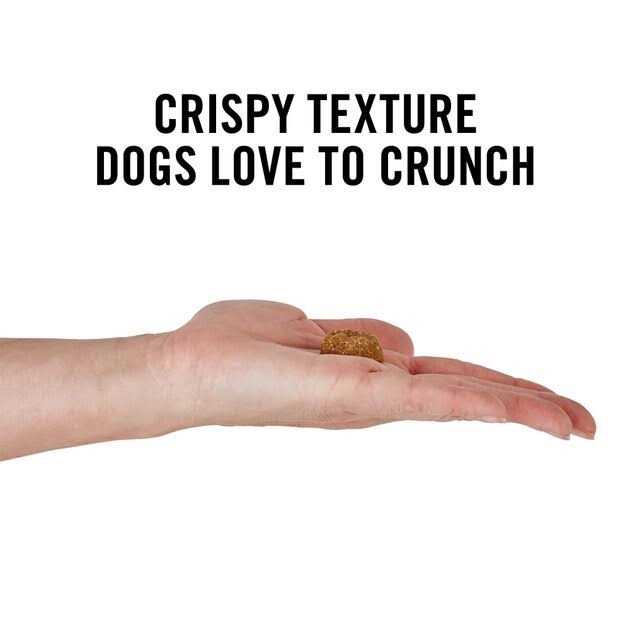 American Journey Peanut Butter Recipe Grain-Free Oven Baked Crunchy Biscuit Dog Treats - Healthber