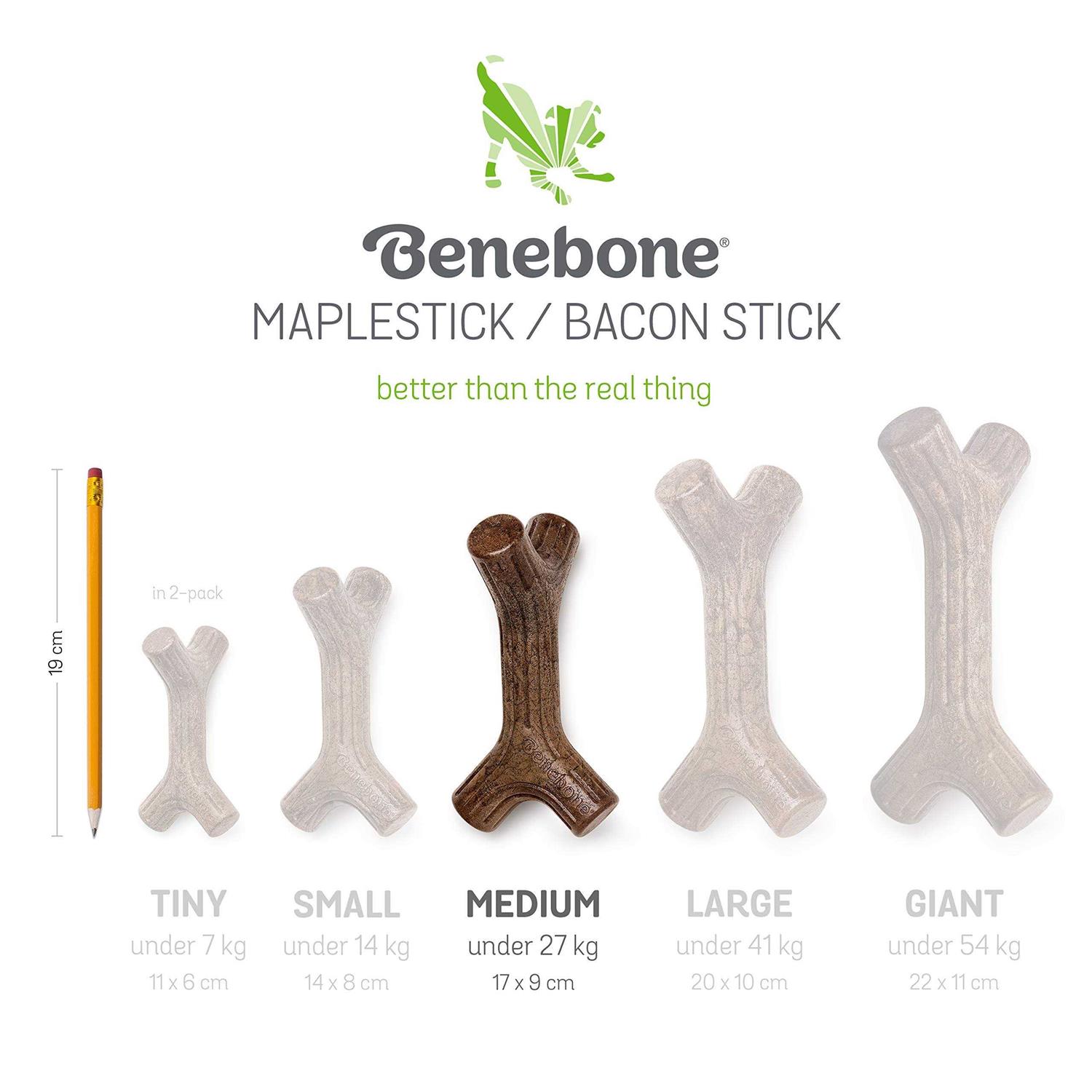 Benebone Dog Chew - Healthber