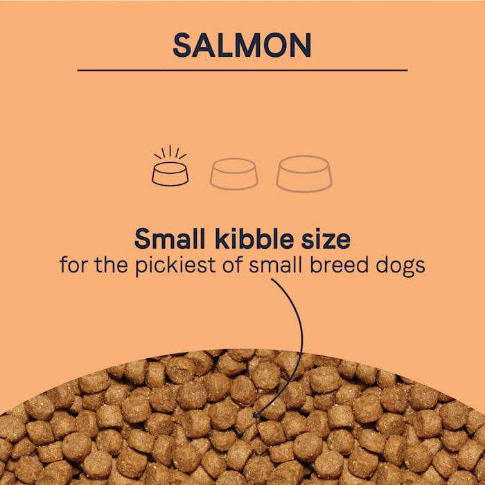 Canidae Pure Petite Small Breed Salmon Dry Dog Food - Healthber
