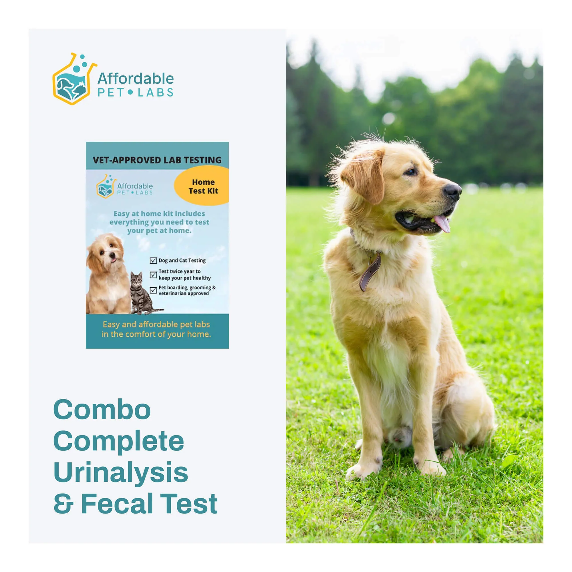 Affordable Pet Labs - Combo Complete Urinalysis & Fecal Test For Dogs, Easy Home Kit - Healthber