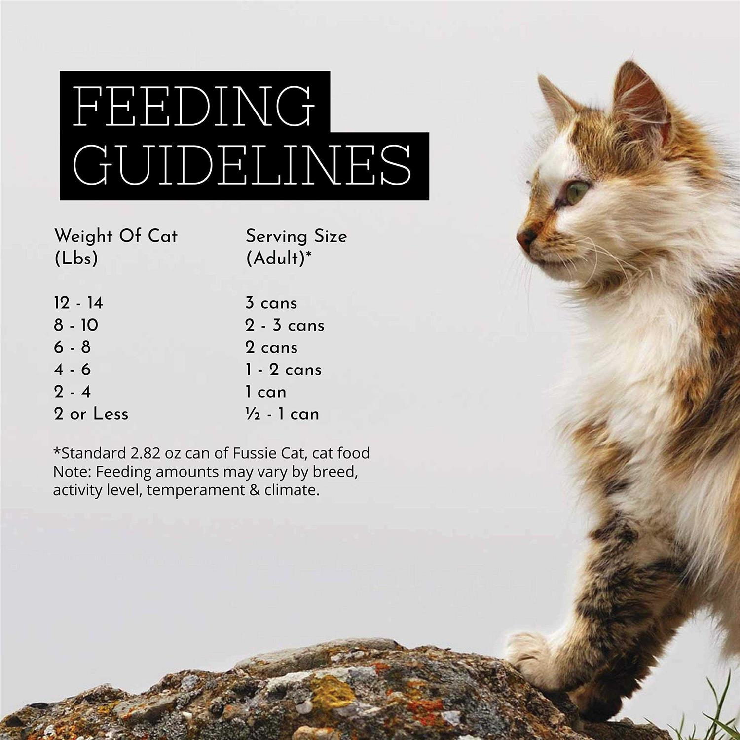 Fussie Cat Premium Chicken Gravy Food - Healthber