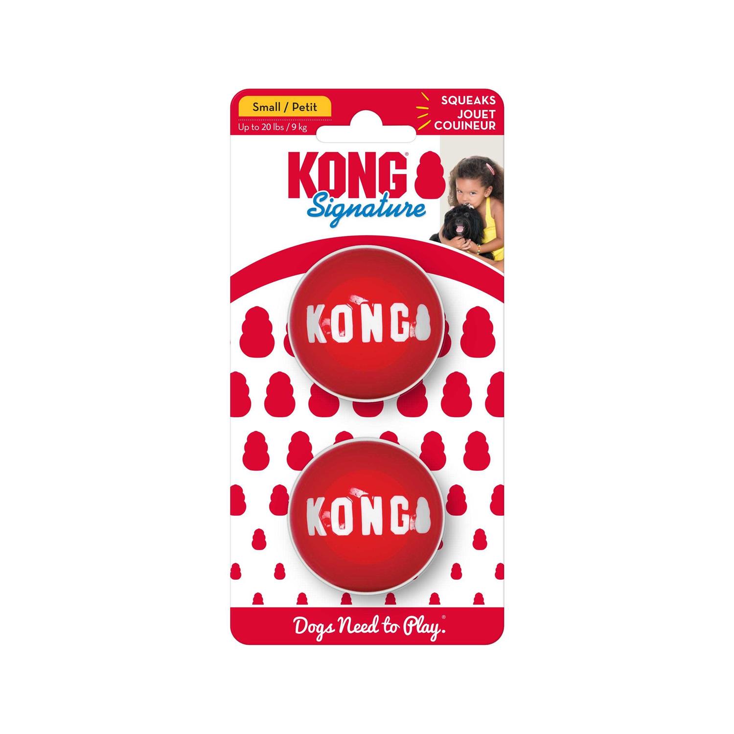 Kong Signature Ball Dog Toy - Healthber