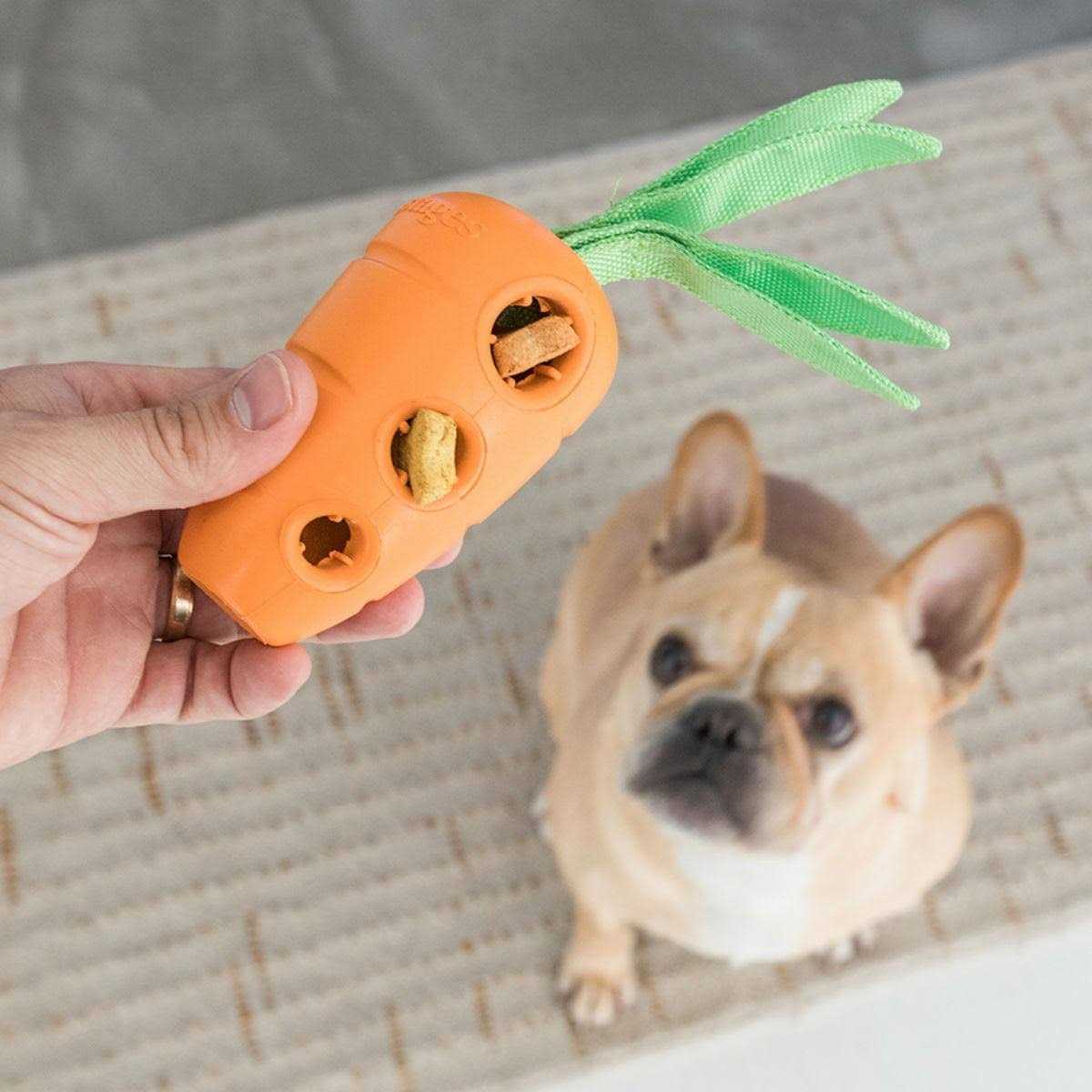 Petstages Carrot Stuffer Dog Toy - Healthber